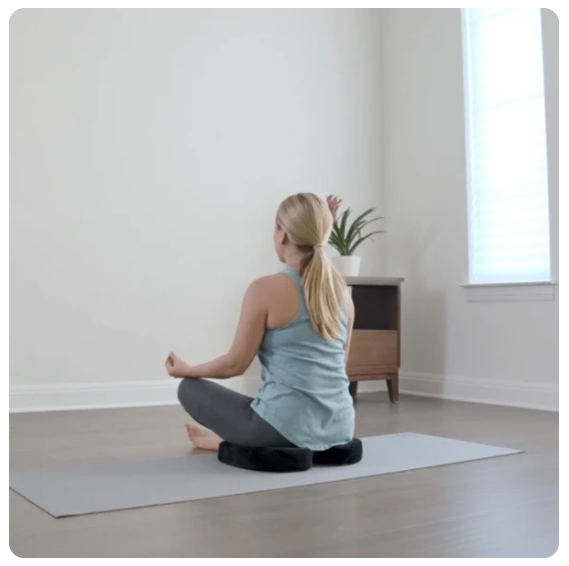 TheraComfy Seat Cushion